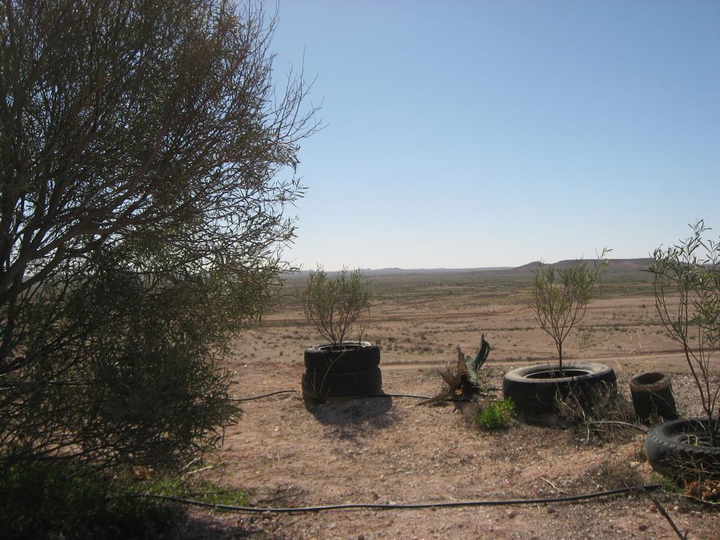 Venushill B+B Coober Pedy Exterior photo